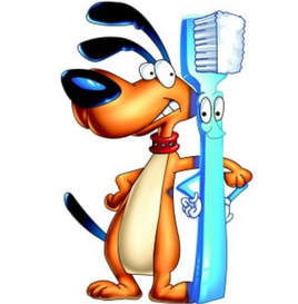 teeth cleaning dogs san diego
